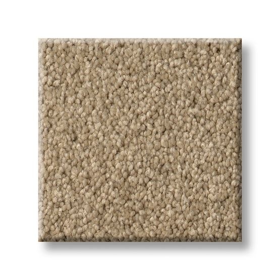 Serendipity I Humus Nylon Carpet - Textured