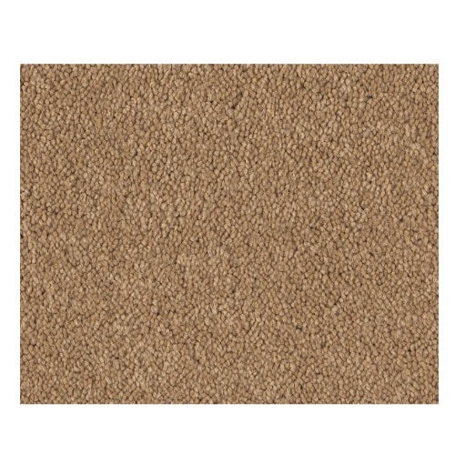 Qs158 12' Cornfield Nylon Carpet - Textured