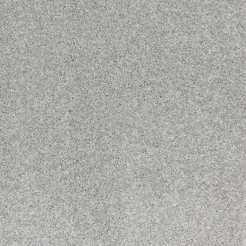 Radiant Beauty Gray Dawn Polypropylene Carpet - Textured