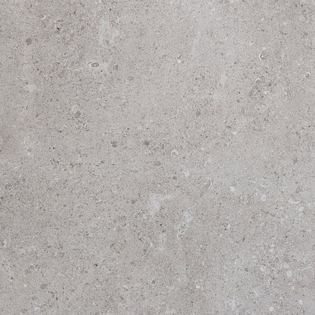 Dignitary Eminence Grey Porcelain Tile - Matte