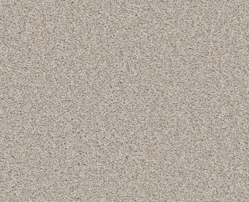 Memorable Ii Split Sediment Nylon Carpet - Loop