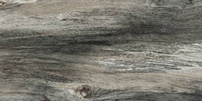 Citrus Midnight Porcelain Tile - Polished - 12" X 24"