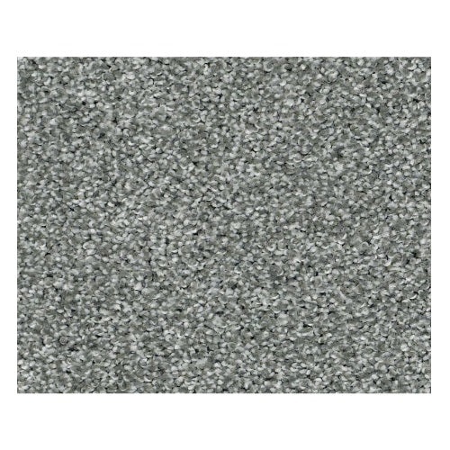 Striking Refreshing Nylon Carpet - Textured