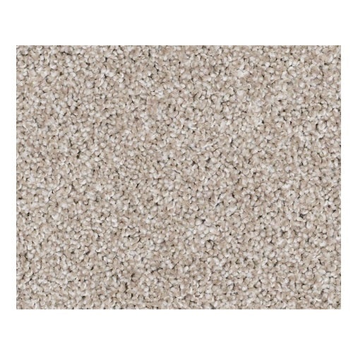 Vacation Day Cotton Ball Nylon Carpet - Textured
