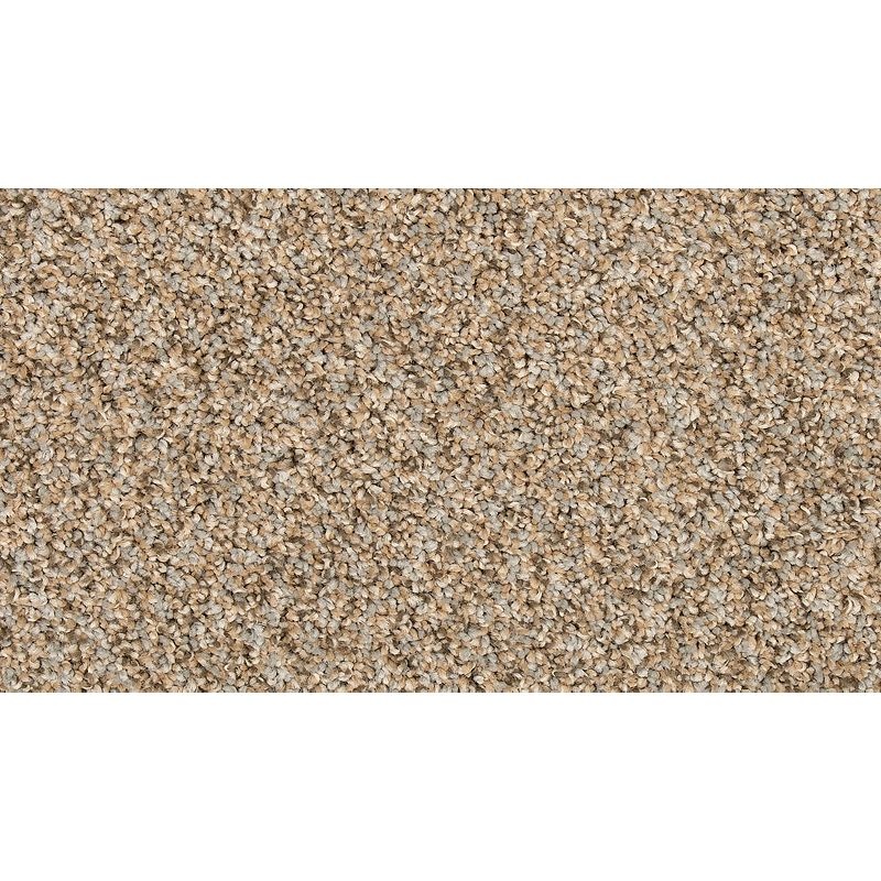 Vitalize I Flannel Polyester Carpet - Textured