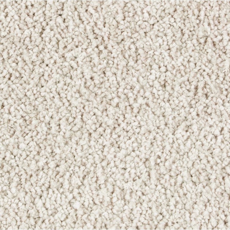 Exquisite Attraction Enchanting Triexta Carpet - Textured
