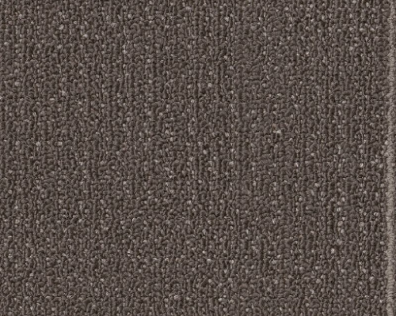 Reshaped Realign Mature Nylon Carpet Tile - Pattern - 24" X 24"