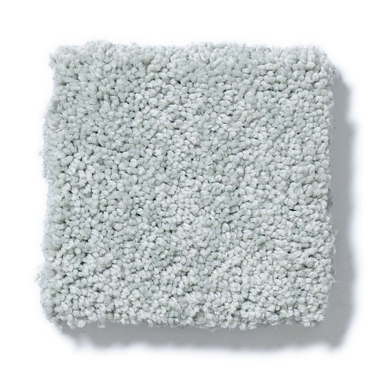 Pet Perfect Pawparazzi II Misty Lake Textured Nylon Carpet