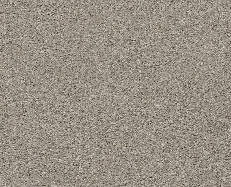 Inspire Me I Frosted Ice Nylon Carpet - Textured