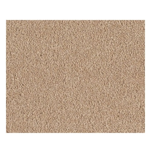 Qs157 12' Marzipan Nylon Carpet - Textured