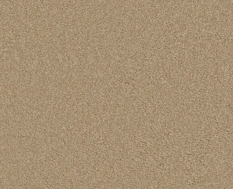 Matira Beach Antique White Nylon Carpet - Textured