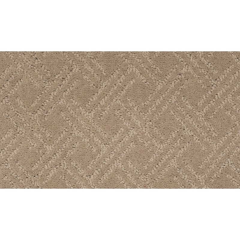 Exquisite Touch Marsh Grass Triexta Carpet - Pattern