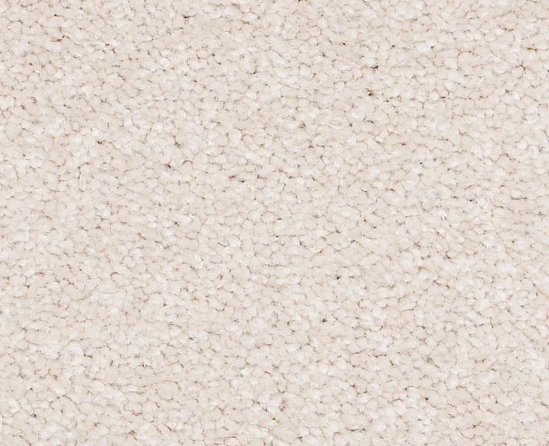 Magic Happens PV II Sea Salt Textured Nylon Carpet