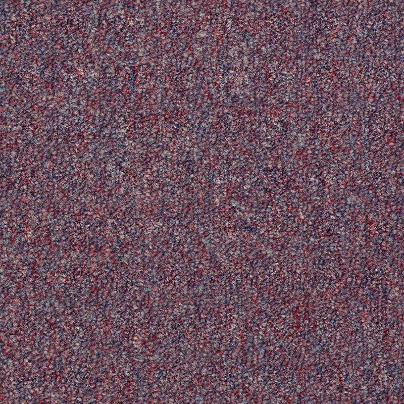 Capital Iii Bl Stars And Stripes Nylon Carpet - Textured