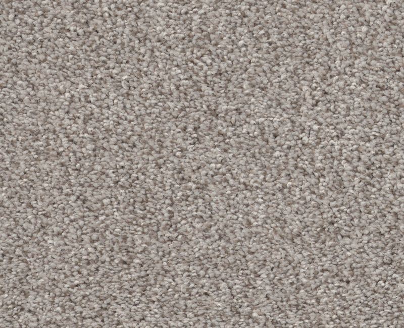 Calm Embrace I River Run Polyester Carpet - Loop