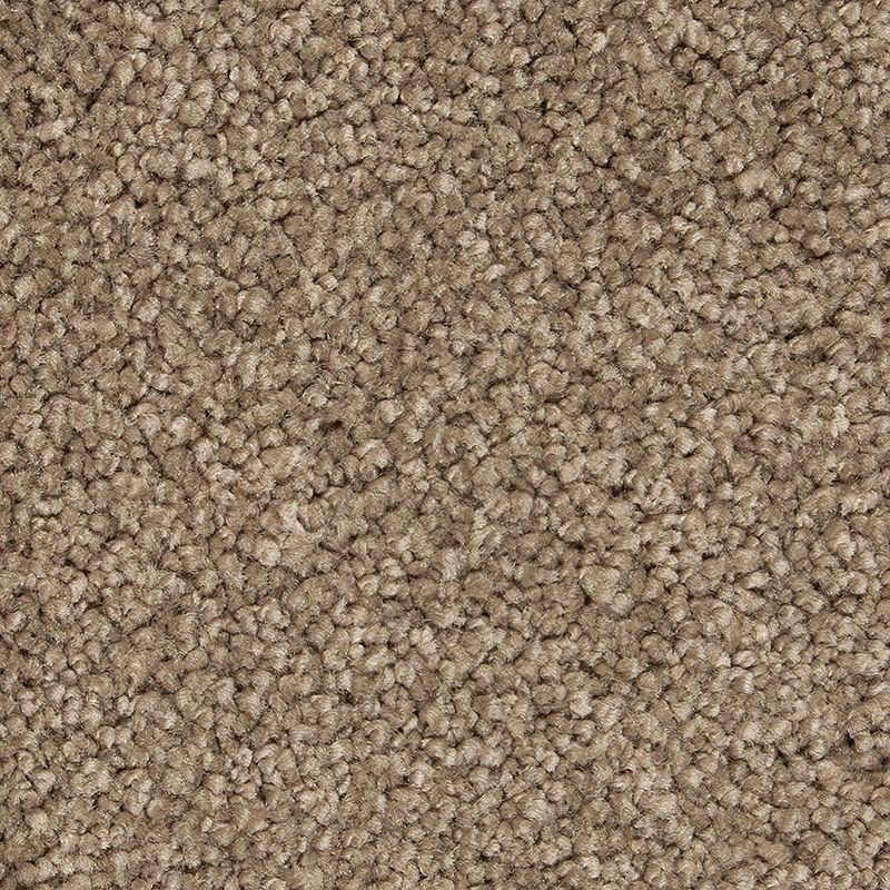 Gentle Approach Woodland Triexta Carpet - Textured