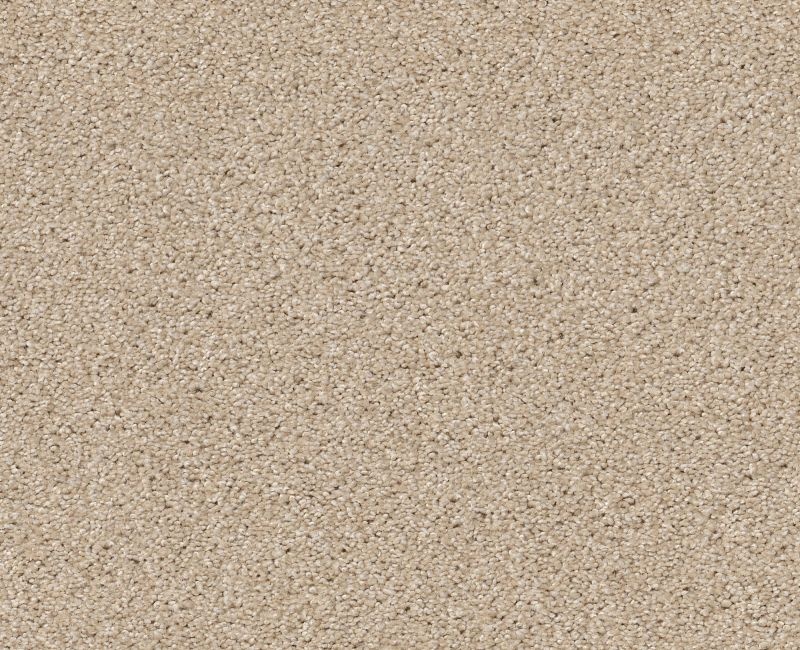 On The Brink I Boutique Nylon Carpet - Textured