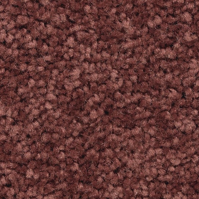 Treasure Valley Red Wine Polyester Carpet - Textured