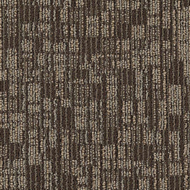 Inspiration Enduring Function Innovative Forecast Nylon Carpet - Loop
