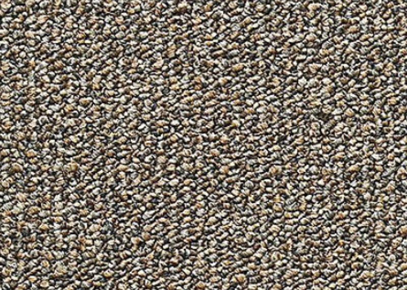Overview Realigned Almond Nylon Carpet - Loop