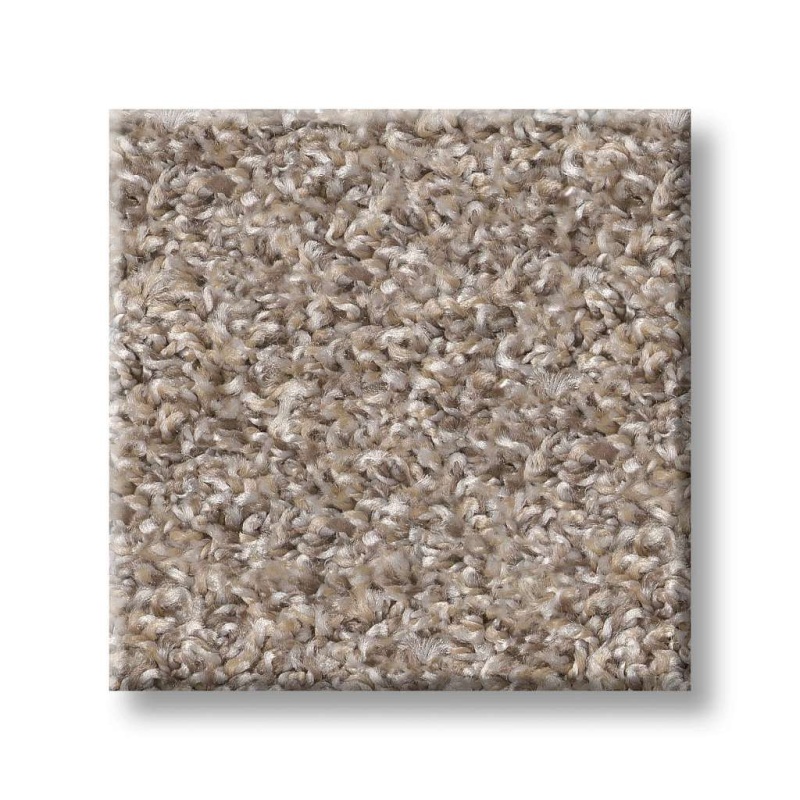 Shake It Up (A) Weathered Polyester Carpet - Textured