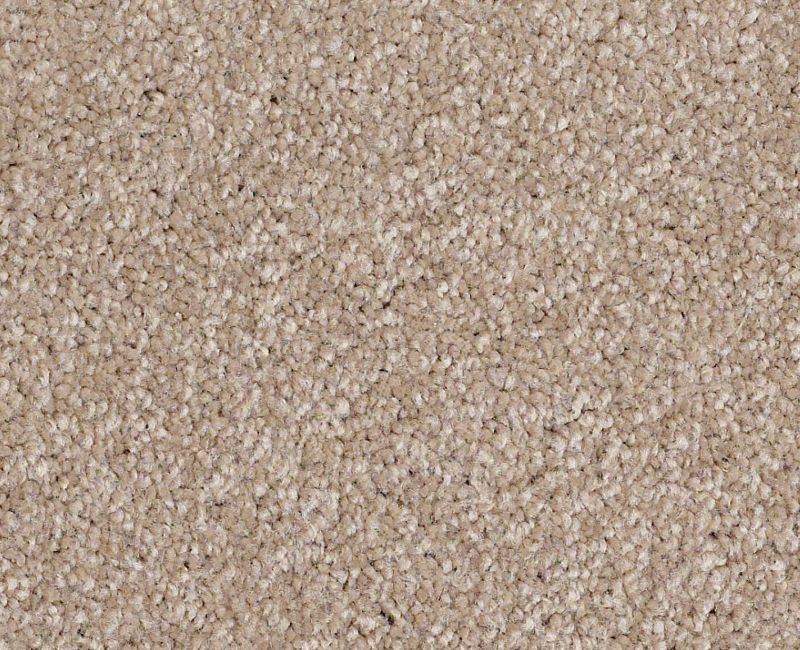 Anso Open Ii (S) Havana Nylon Carpet - Textured