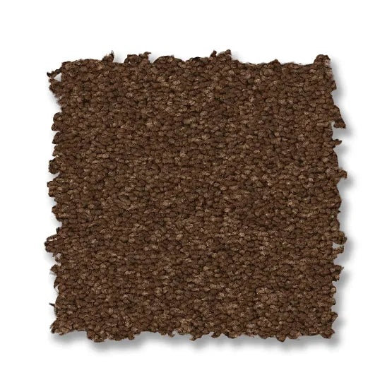 Elegant Beauty Bronco Nylon Carpet - Textured