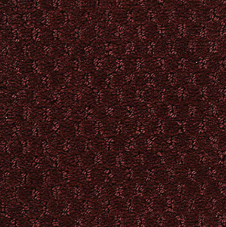 Influencer Classic Update Aged Wine Nylon Carpet - Loop