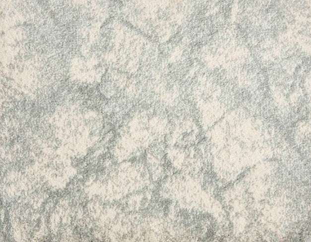 Vivo Vibes Platinum Polysoft Carpet - Textured