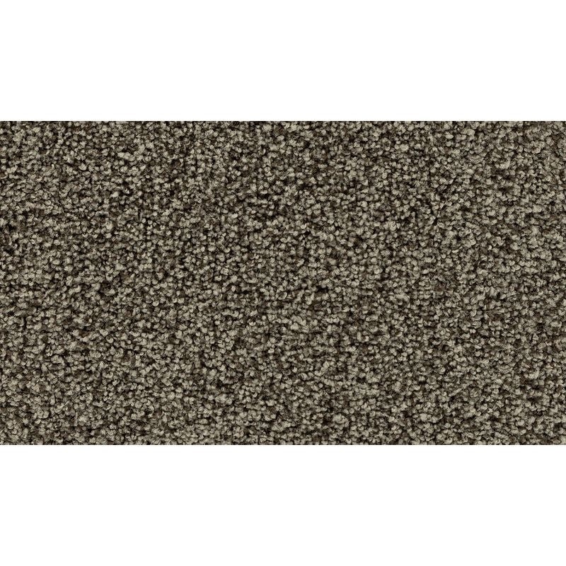 Enchanting Glamour Cathedral Nylon Carpet - Textured