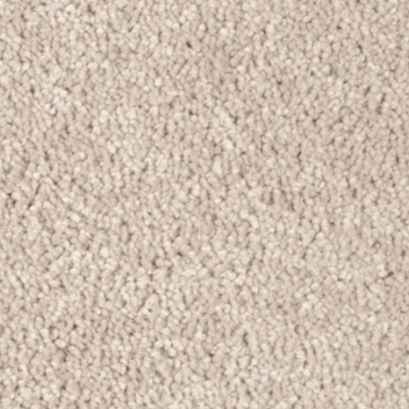 Natural Splendor I Parchment Triexta Carpet - Textured