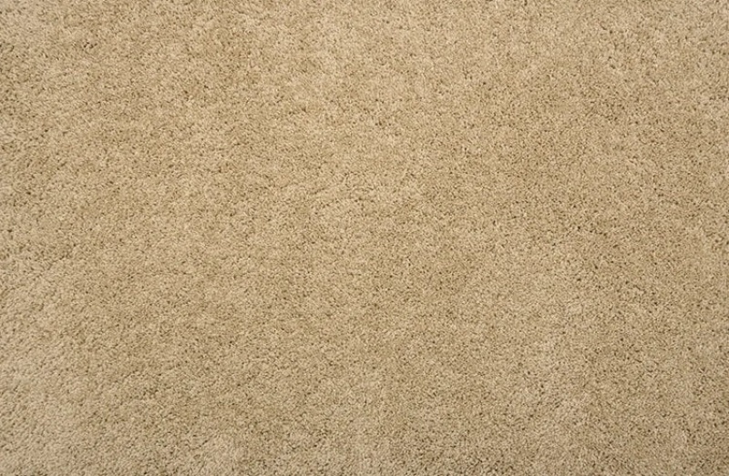 Stanton Pet Guard Hampshire Tan Plush Polyester Carpet