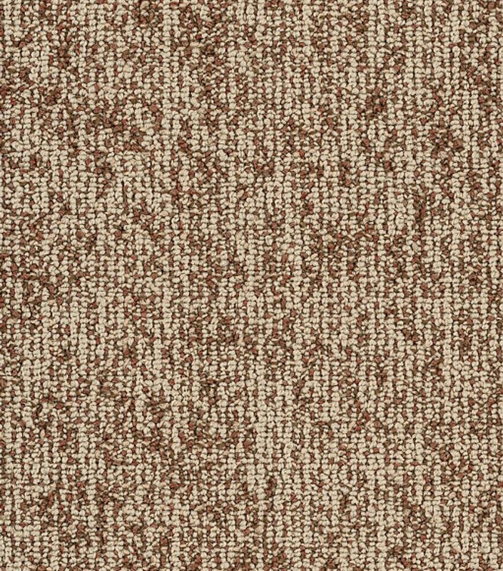 Modern Terrain Basin Mesa Nylon Carpet Tile - Loop - 9" X 36"