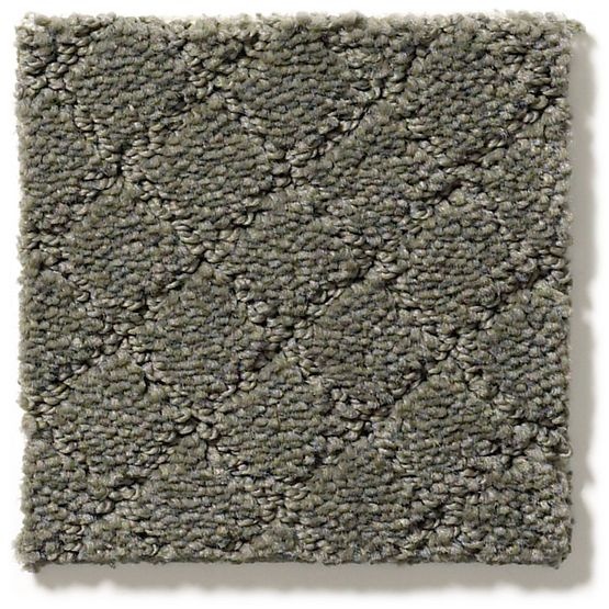 Pet Perfect Pawnache Smoked Oyster Nylon Carpet