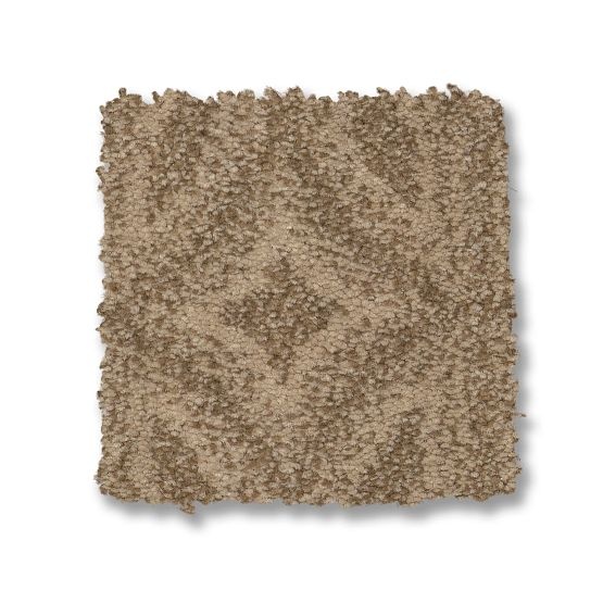 Enlightened Windswept Nylon Carpet - Pattern