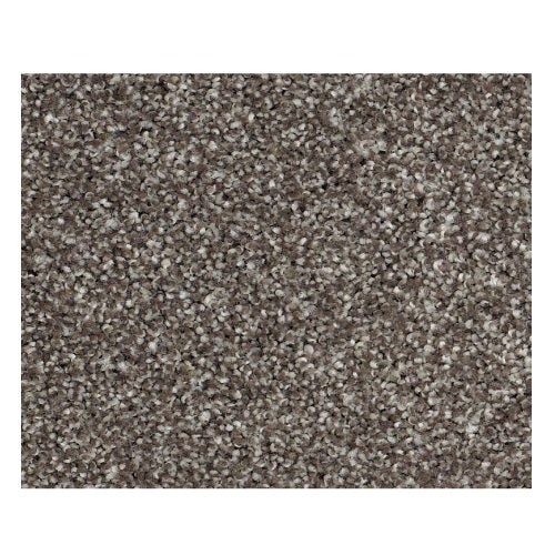 Striking Graphite Nylon Carpet - Textured