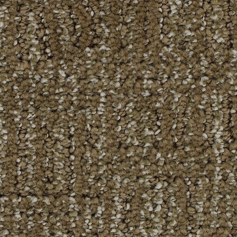 Natural Texture Laguna Triexta Carpet - Pattern