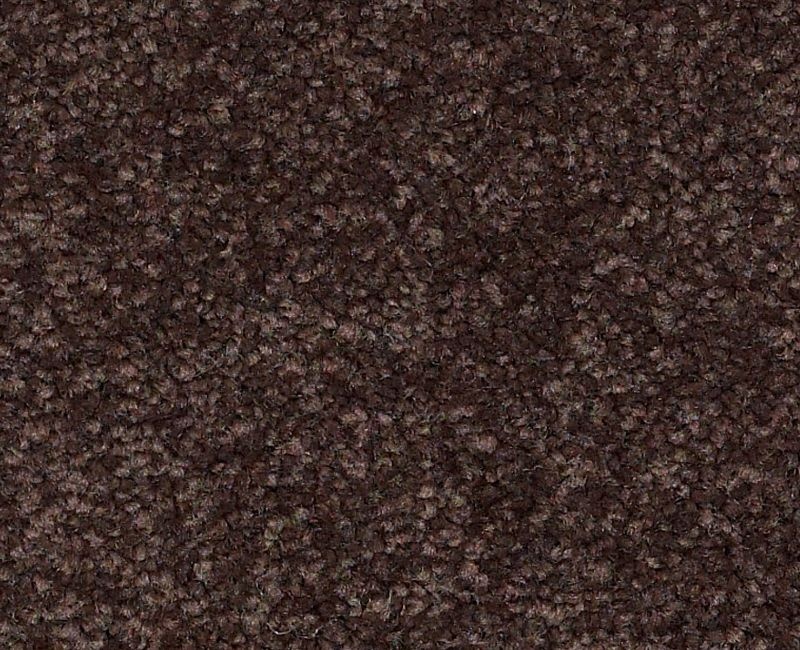 Bright Spirit Ii 12' Tundra Nylon Carpet - Textured