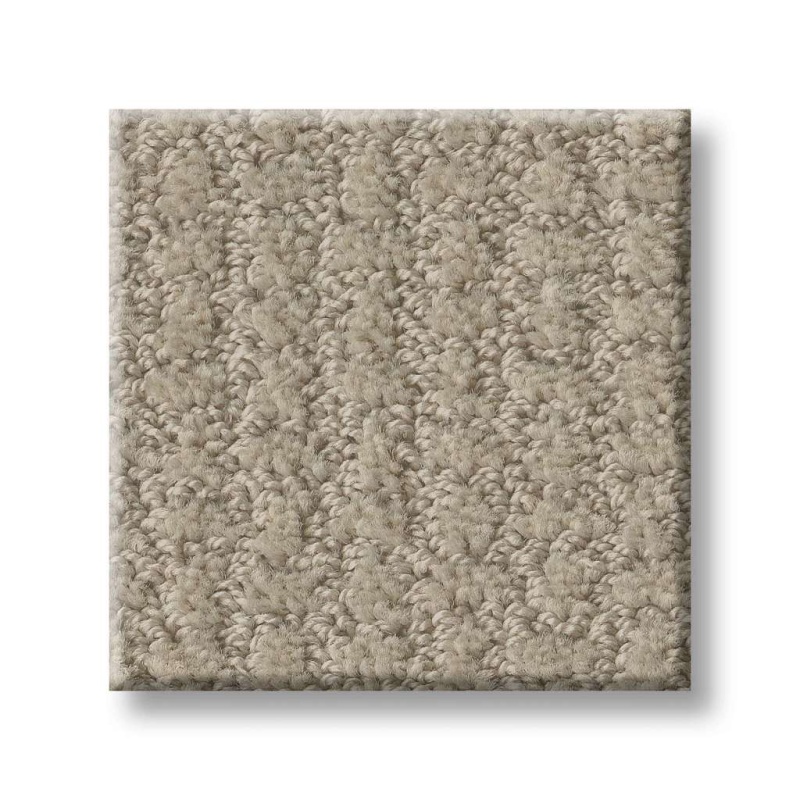 Foundations Complete Control Studio Taupe Nylon Carpet - Pattern
