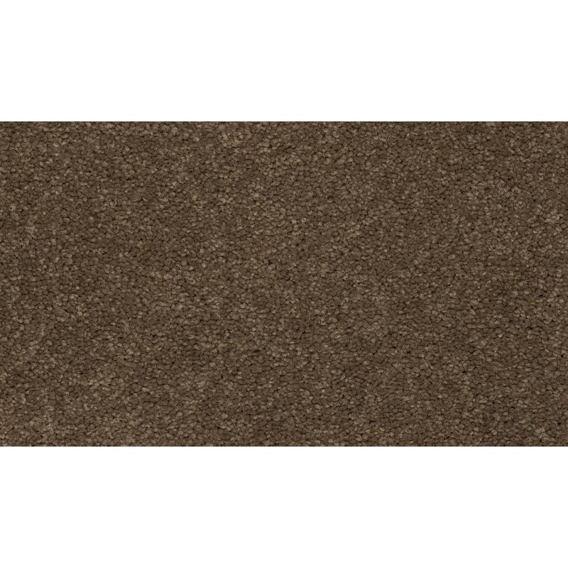 Coastal Fashion Iii Cabanas Nylon Carpet - Textured