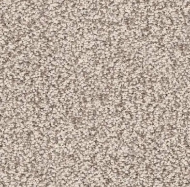 Best Of All Tacoma Polyester Carpet - Textured