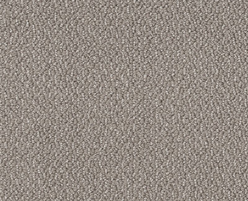 Devious Look Asteroid Polyester Carpet - Textured