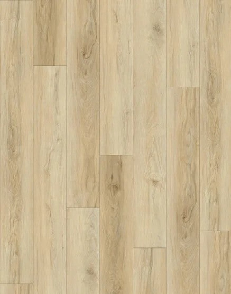 Natural Beauty Max 5 Fairhaven Shell Wpc Luxury Vinyl Plank Flooring - Urethane - 5" X 60"
