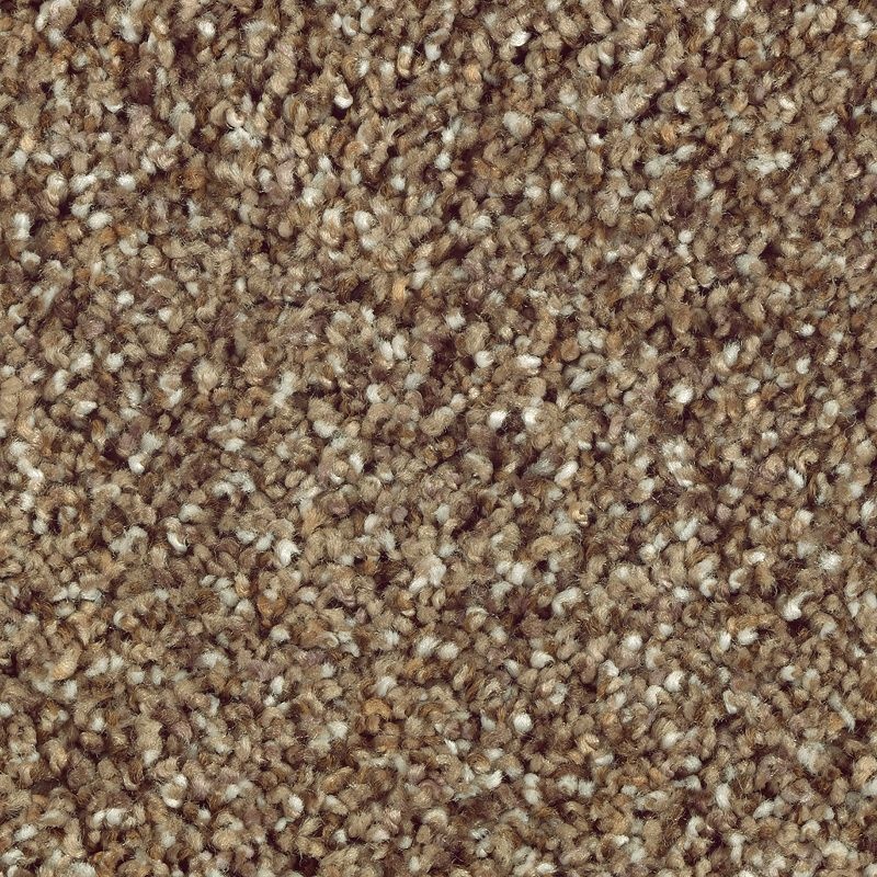 Nature's Luxury Ii Dried Sage Triexta Carpet - Textured
