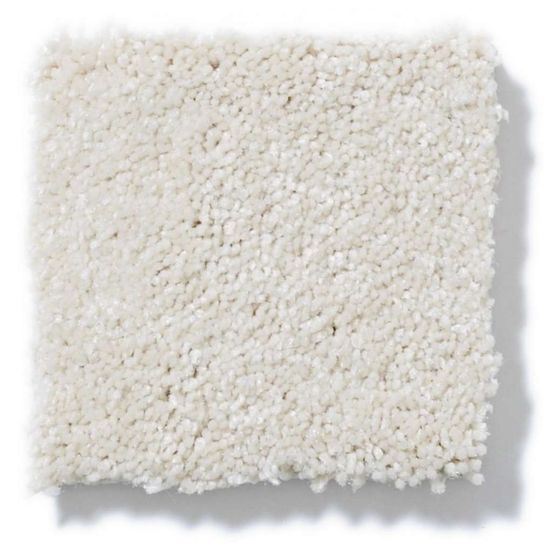 You Know It Royal Silk Nylon Carpet - Textured