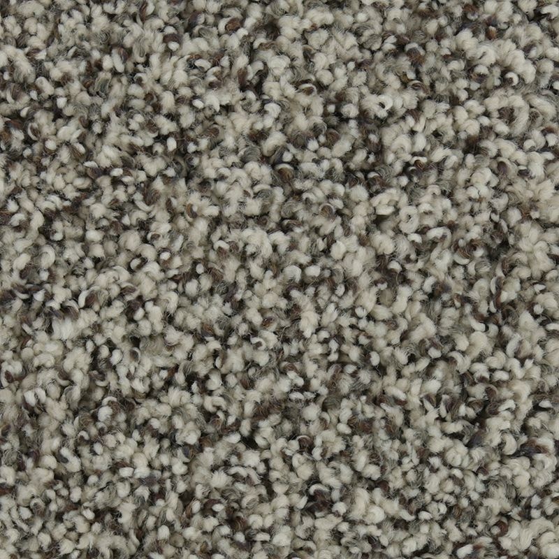 Natural Opulence I Winter's End Triexta Carpet - Textured