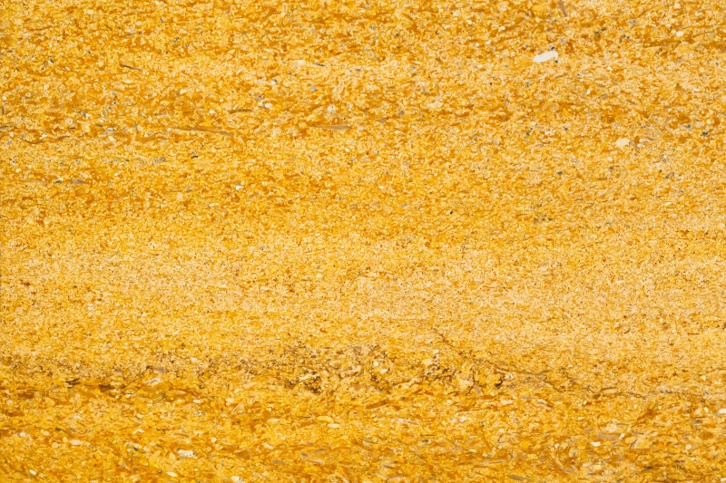 Desert Gold Vein Cut Limestone Tile - Honed