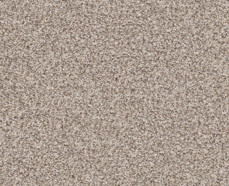 Privy Cocoa Butter Nylon Carpet - Loop