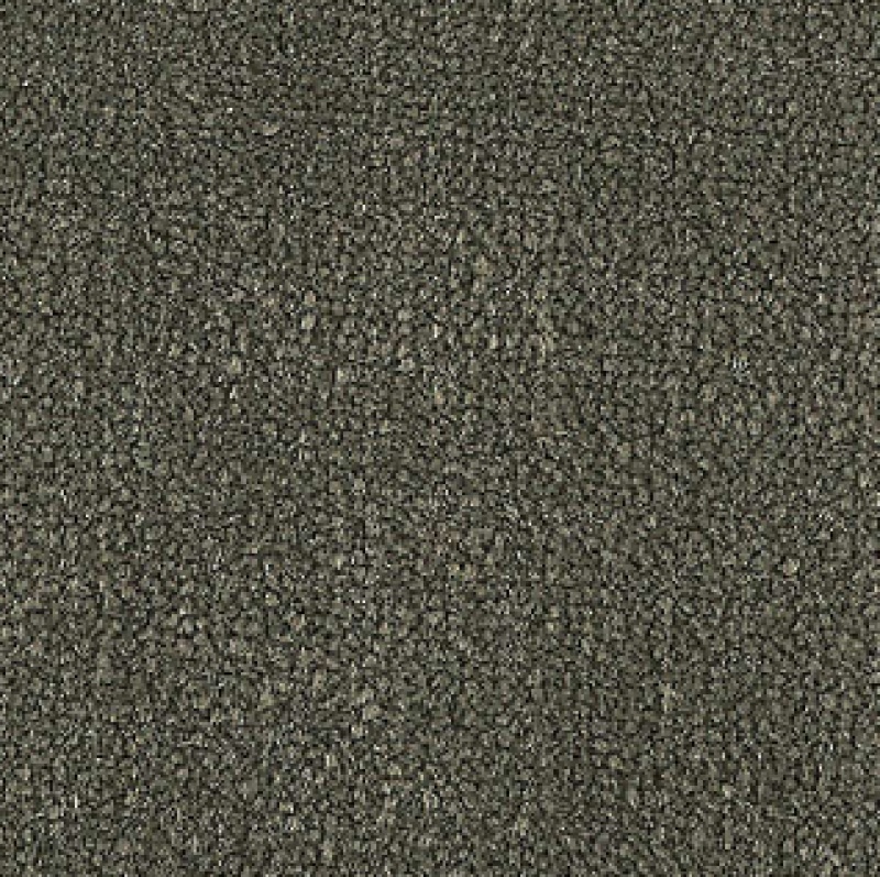 Influencer 30 Welded Iron Nylon Carpet - Textured