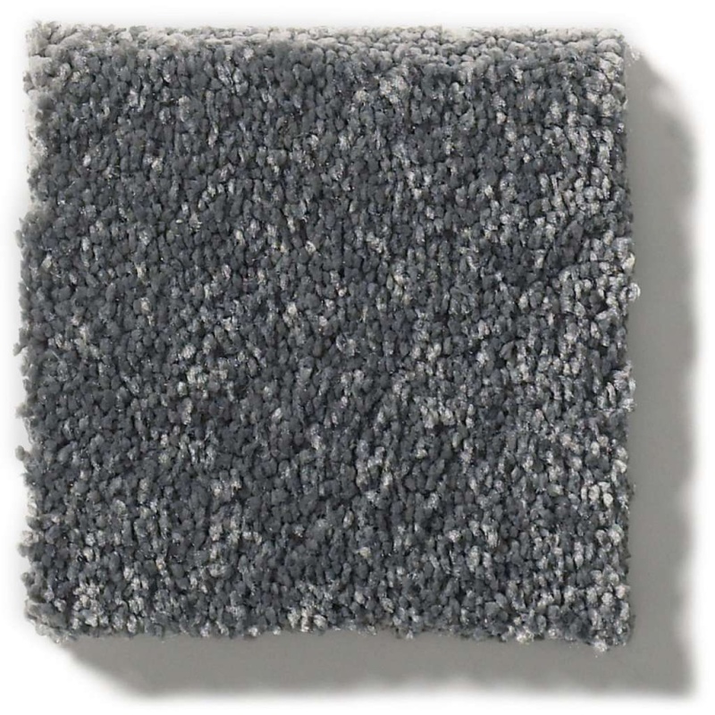 Pet Perfect Plus Basic Rules Steel Polyester Carpet - Textured